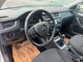 Skoda Octavia Combi 1,6 TDI Style DSG Silber - thumbnail 14