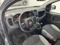 Fiat Panda Panda 1.0 firefly hybrid City Life s NO VINCOLI Grau - thumbnail 10