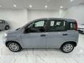 Fiat Panda Panda 1.0 firefly hybrid City Life s NO VINCOLI Grau - thumbnail 3