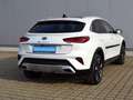 Kia XCeed 1.5 T-GDI Limited Edition VOLL/H&R/AHK/STAND-HZ/L Weiß - thumbnail 3