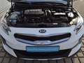 Kia XCeed 1.5 T-GDI Limited Edition H&R/AHK/ST-HZ/LED/18-ZO Weiß - thumbnail 12