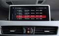 BMW X1 xDrive 20d Sport Line (F48) *LED*AHK*Kamera Grau - thumbnail 22