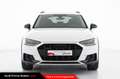Audi A4 allroad Allroad 40 TDI 204 CV quattro S tronic Business E Bianco - thumbnail 2