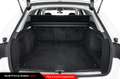 Audi A4 allroad Allroad 40 TDI 204 CV quattro S tronic Business E Bianco - thumbnail 10