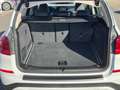 BMW X3 xDrive 30 d xLine Weiß - thumbnail 22