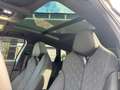 CUPRA Terramar 2.0TSI 195kW VZ DSG 4Drive AKEBONO PANO Grau - thumbnail 17