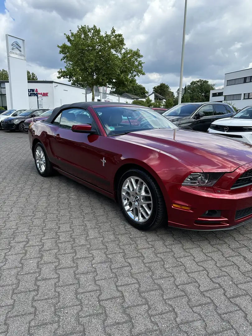 Ford Mustang Convertible V6 3,7 L Rot - 2