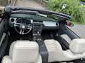 Ford Mustang Convertible V6 3,7 L Rot - thumbnail 9
