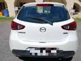Mazda 2 G75 Challenge Challenge Weiß - thumbnail 3