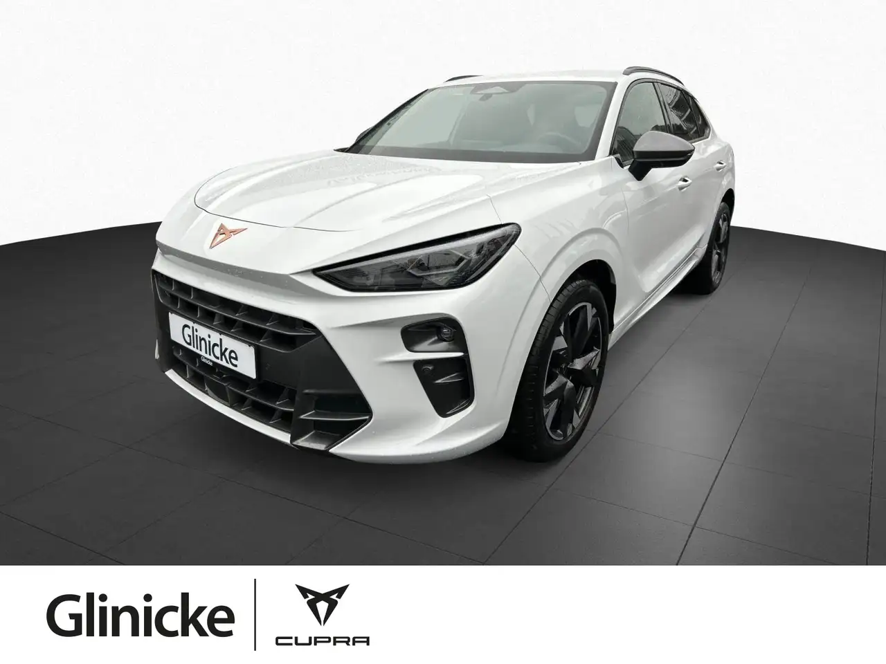 CUPRA Terramar 1.5 eTSI 110 kW DSG AHK Sennheiser