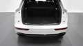 Audi Q5 40 TDI quattro-ultra Black line S tronic 150kW Weiß - thumbnail 13