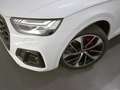 Audi Q5 40 TDI quattro-ultra Black line S tronic 150kW Weiß - thumbnail 6