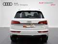 Audi Q5 40 TDI quattro-ultra Black line S tronic 150kW Weiß - thumbnail 5