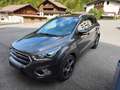 Ford Kuga Kuga 2,0 TDCi Titanium Powershift Aut. AWD Titanium Grau - thumbnail 9