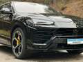 Lamborghini Urus 4.0 V8 Carbon Panorama Ceramic Nachtsicht Schwarz - thumbnail 18