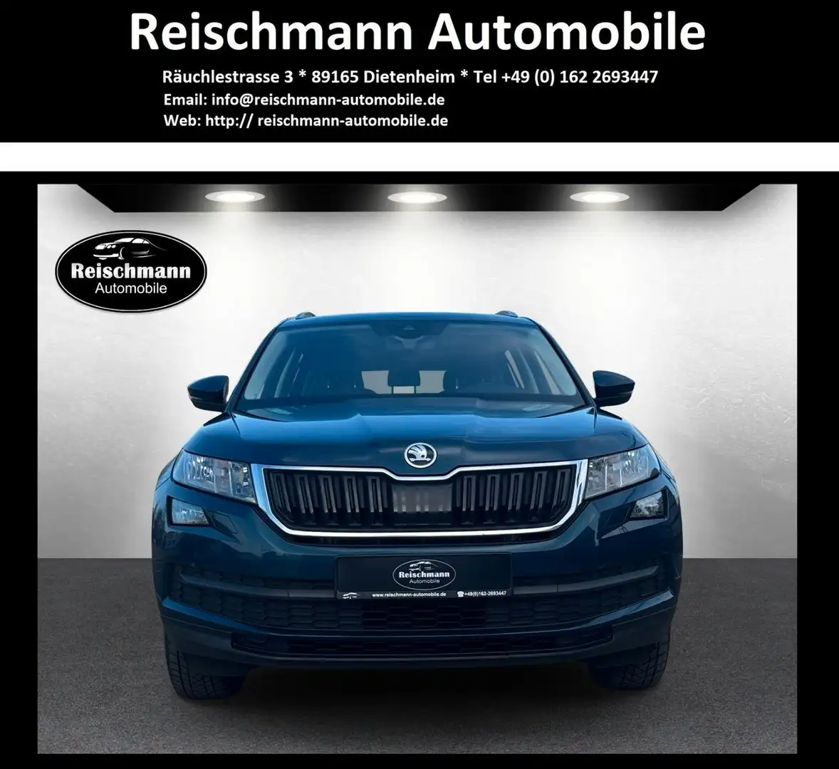 Skoda Kodiaq Ambition 2,0TDI DSG CAM 8fach Scheckheft Blau - 1