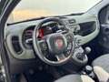 Fiat Panda 1.3 MJT 95 CV S&S 4x4 K-Way Vert - thumbnail 3