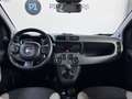 Fiat Panda 1.3 MJT 95 CV S&S 4x4 K-Way Vert - thumbnail 22