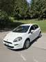 Fiat Grande Punto 5p 1.3 mjt 16v Actual s&s 75cv Bianco - thumbnail 3