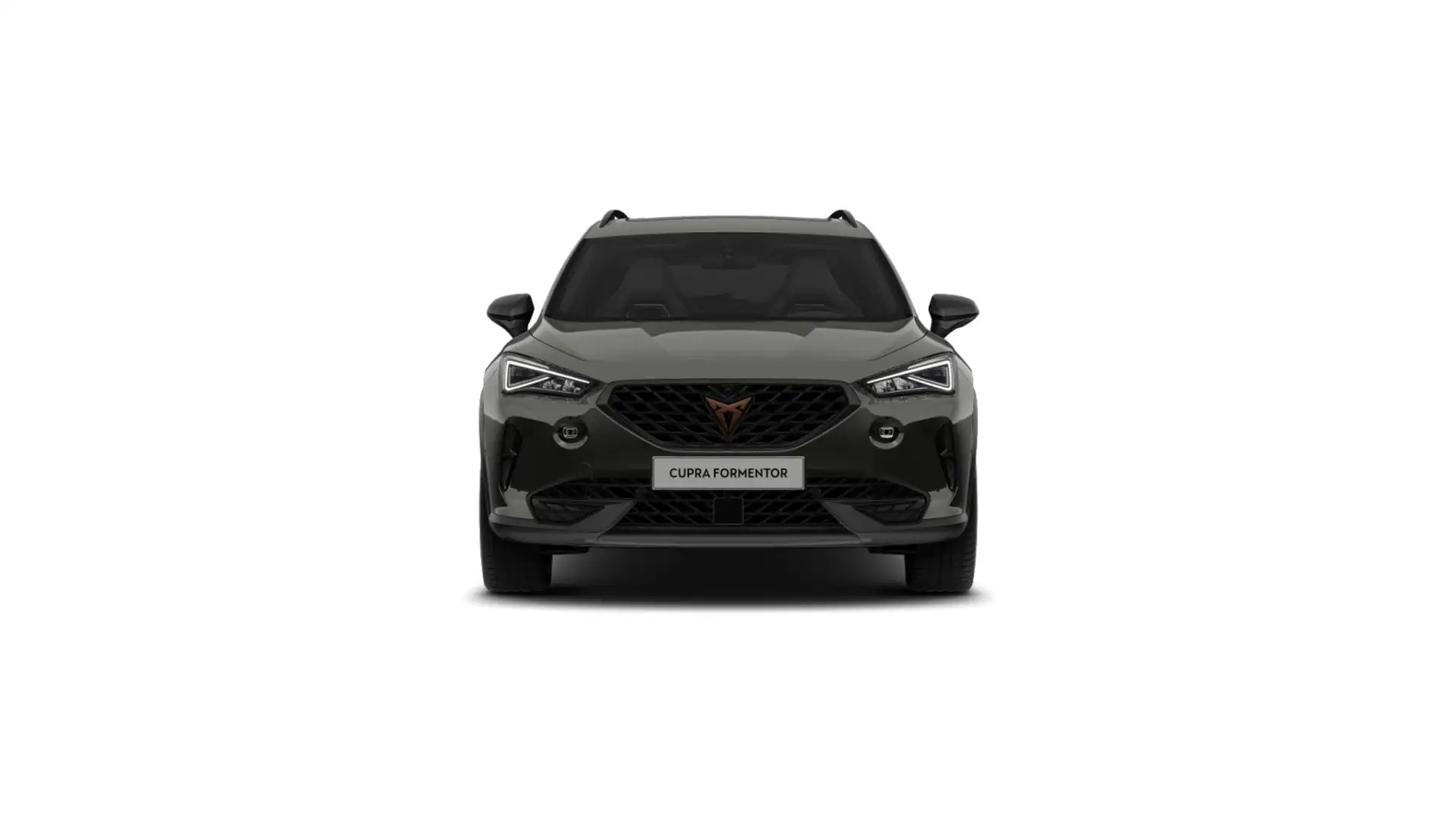 CUPRA Formentor VZ Tribe Edition Grau - 2