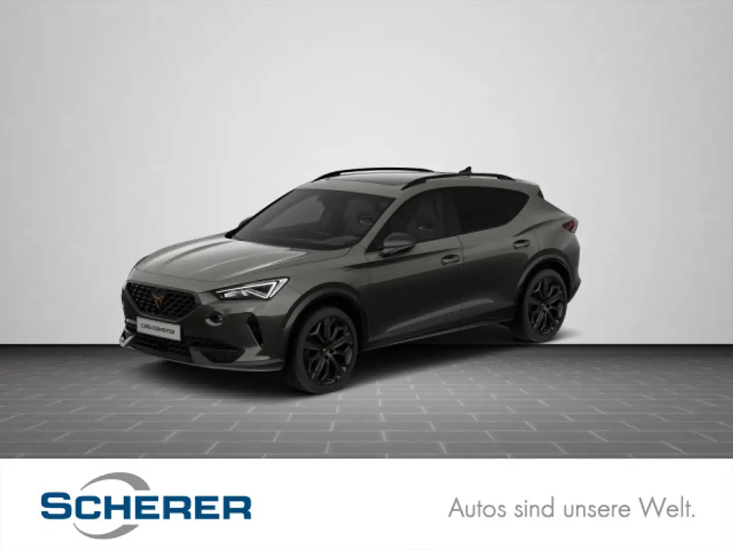 CUPRA Formentor VZ Tribe Edition Grau - 1