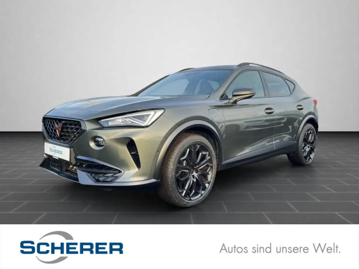 CUPRA Formentor VZ Tribe Edition Pano 360° FAP-XL Beat Grau - 1