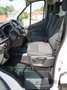 Ford Transit Kasten 350 L2H2 Trend Blanc - thumbnail 9