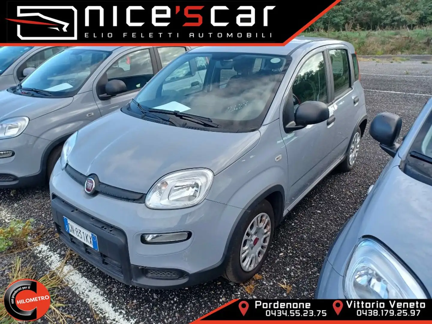 Fiat Panda Panda 1.0 FireFly S&S Hybrid *PROMO* Grau - 1