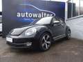 Volkswagen Beetle Lim. Remix Negro - thumbnail 2