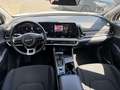 Kia Sportage 1.6 T-GDI 2WD Eco-Dyn.+ (48V M-H) DCT Vision Blanc - thumbnail 10