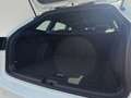Volkswagen Golf Variant Golf 8 Var. R-Line 2.0 TSI DSG LED+ STHZ TRAVEL Wit - thumbnail 9