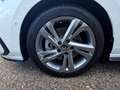 Volkswagen Golf Variant Golf 8 Var. R-Line 2.0 TSI DSG LED+ STHZ TRAVEL Wit - thumbnail 15