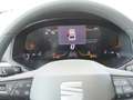 SEAT Ibiza Reference 1.0 TSI Grau - thumbnail 7