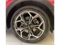 Kia Sportage 2.0 CRDI 185 CV AT8 AWD Mild Hybrid 48V GT Line Rojo - thumbnail 6
