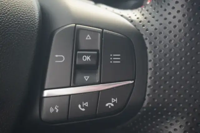 Ford Puma view 12