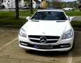 Mercedes-Benz SLK 200 SLK-Klasse (BlueEFFICIENCY) 7G-TRONIC Білий - thumbnail 7