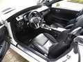 Mercedes-Benz SLK 200 SLK-Klasse (BlueEFFICIENCY) 7G-TRONIC Alb - thumbnail 6