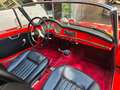Alfa Romeo Giulietta SPIDER Rosso - thumbnail 7