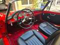 Alfa Romeo Giulietta SPIDER Rosso - thumbnail 6