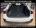 Audi Q3 Sportback 40 TDI S-Tronic QU.Matrix/Kamera/ Weiß - thumbnail 25