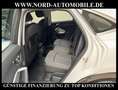 Audi Q3 Sportback 40 TDI S-Tronic QU.Matrix/Kamera/ Weiß - thumbnail 15