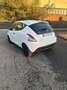 Lancia Ypsilon 1.0 firefly hybrid Silver s&s 70cv - thumbnail 3