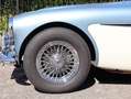 Austin-Healey 3000 MK2a BJ7 Bleu - thumbnail 24