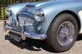 Austin-Healey 3000 MK2a BJ7 Bleu - thumbnail 23