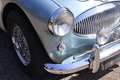 Austin-Healey 3000 MK2a BJ7 Bleu - thumbnail 25