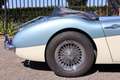 Austin-Healey 3000 MK2a BJ7 Bleu - thumbnail 30