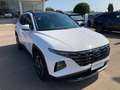 Hyundai TUCSON Tucson 1.6 HEV aut.Exellence + LO + DP Bianco - thumbnail 3