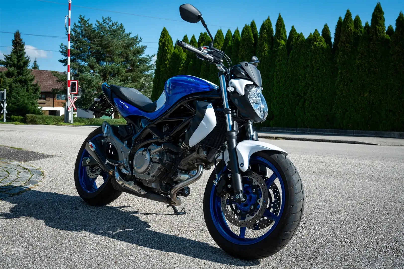 Suzuki Gladius 650 Blanco - 1