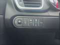 Kia Ceed SW / cee'd SW ceed SW 1,5 TGDI Silber Blau - thumbnail 10