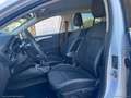 Ford Focus 1.5 EcoBlue 120CV SW Business Bianco - thumbnail 13